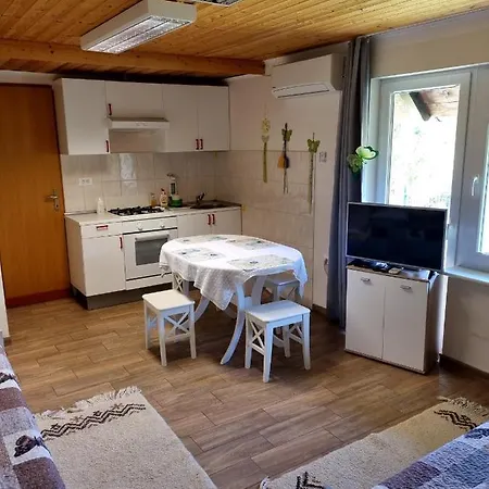 Pensionat Dobra Hisa Zdravja Cicarija 3*