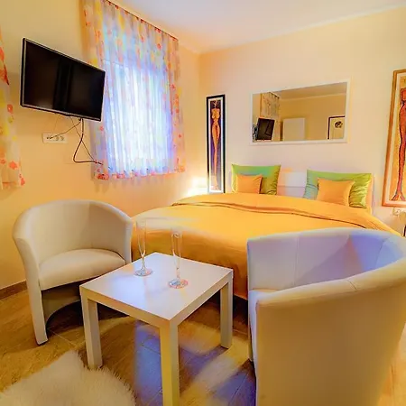 Pensionat Dobra Hisa Zdravja Cicarija 3*