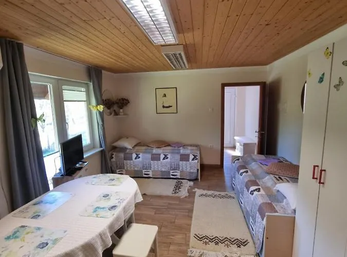 Dobra Hisa Zdravja Cicarija 게스트하우스