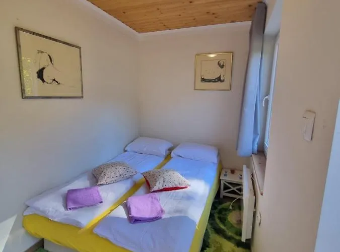 게스트하우스 Dobra Hisa Zdravja Cicarija Golac