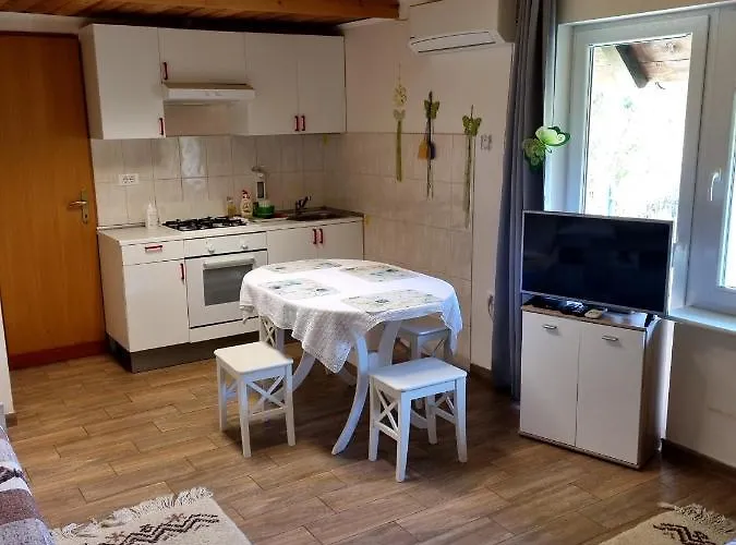 게스트하우스 Dobra Hisa Zdravja Cicarija 3*