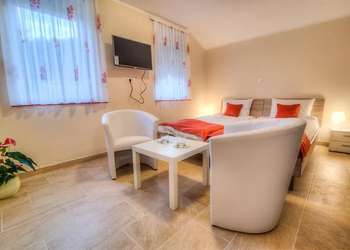 Dobra Hisa Zdravja Cicarija